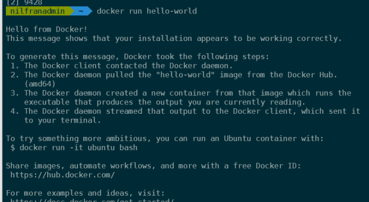 Docker demon run